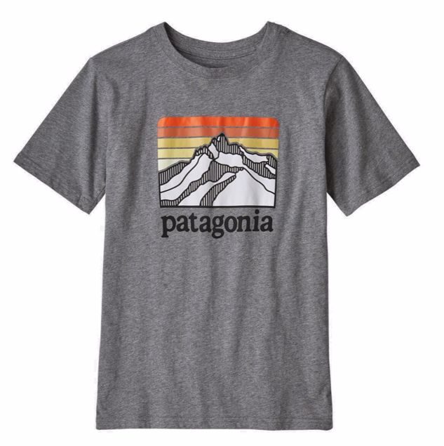 Patagonia  Boys Graphic Organic T-Shirt
