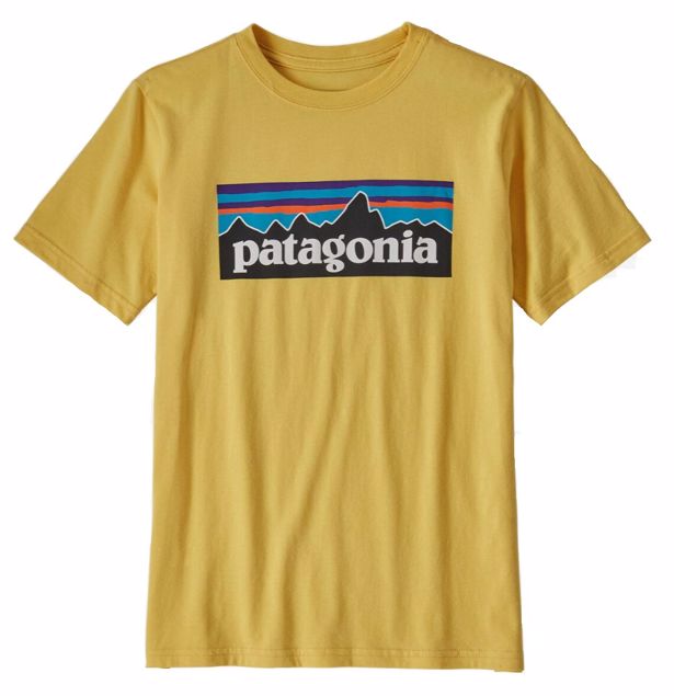 Patagonia  Boys P-6 Logo Organic T-Shirt