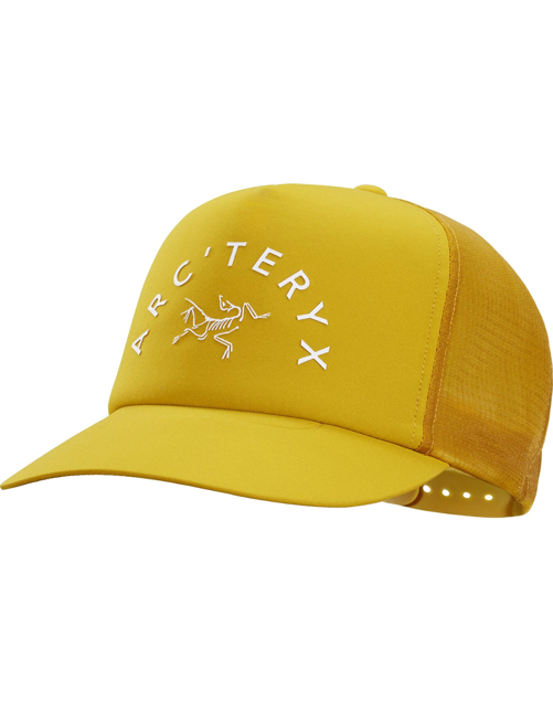 ArcTeryx Arch'Teryx Trucker Curved cap