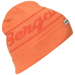 Bergans  Logo Youth Beanie