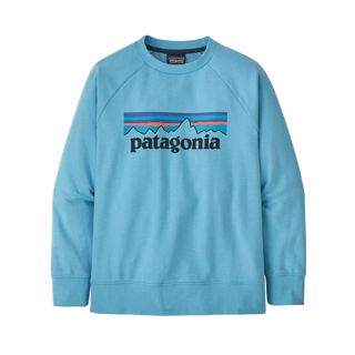 Patagonia Kid´s Lw Crew Sweatshirt