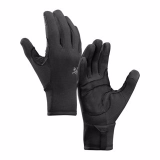 ArcTeryx Rivet Glove