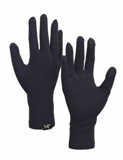 ArcTeryx Gothic Glove