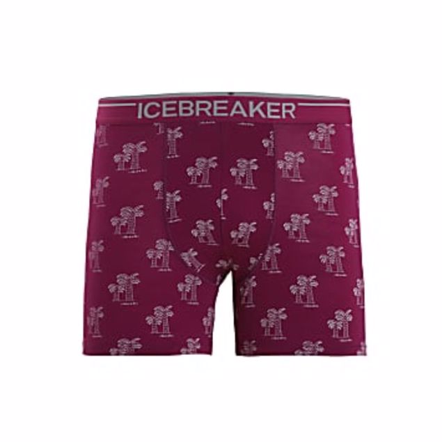 Icebreaker M Anatomica Boxer 