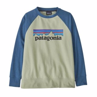 Patagonia  Kids LW Crew Sweatshirt