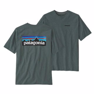 Patagonia M´S P-6 Logo Responsibili-Tee Herre Grønn